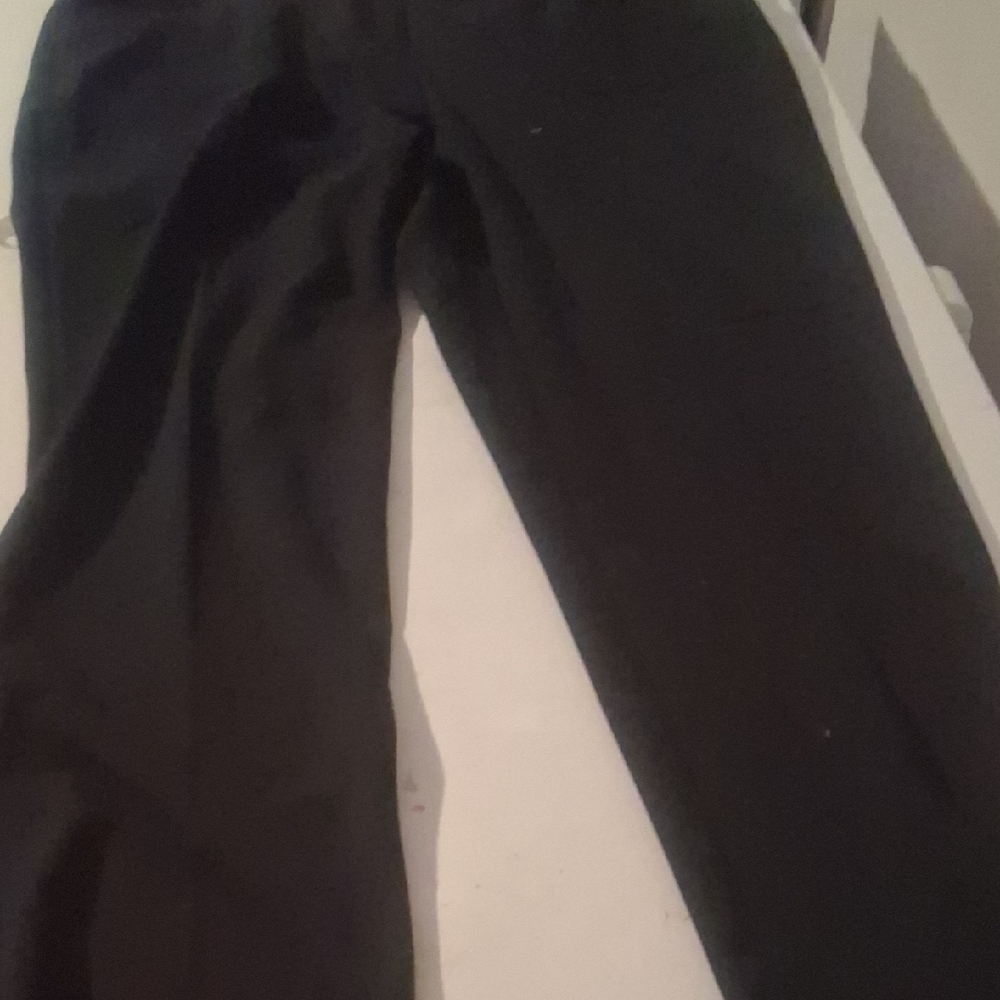 Alfani Black Straight Leg Dress Pants Size 16W | Professional Pants - Picture 2 of 7